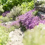Апартаменты Ferienwohung Traumgarten