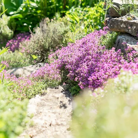 Ferienwohung Traumgarten Obereisenheim