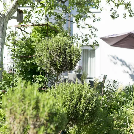 Ferienwohung Traumgarten * Obereisenheim